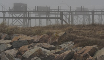 tranges cabanes dans le brouillard - auteur : Alain Barr
