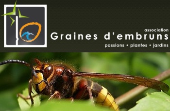 Pornic - 27/03/2012 - Nouveau site internet référencé : GRAINE D`EMBRUNS sur la Côte de Jade