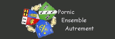 Pornic - 04/07/2012 - Intervention en Conseil municipal suite  laccord lectoral entre M. Bonnec et le FN