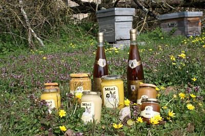 Pornic - 22/08/2012 - Pays de Retz, Terroir : le miel de Grand-Lieu