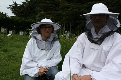 Pornic - 10/06/2013 -  La Bernerie, les abeilles sont reines