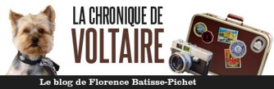 Pornic - 30/08/2013 - La Chronique de Voltaire : Carrelets de Pornic