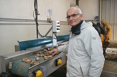 Pornic - 30/12/2013 - `Pas de pénurie d`huîtres` dans le Pays de Retz