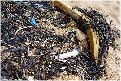 Pornic - 10/02/2014 - Photos : Pollution des plages suite aux temptes 2014