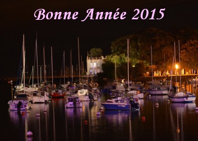 Pornic - 06/01/2015 - BONNE ANNÉE 2015