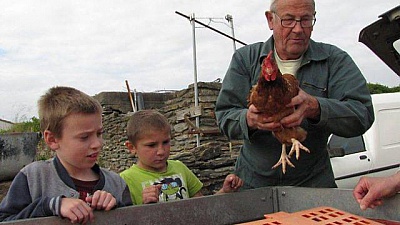 Pornic - 03/06/2015 - Plaine d`avenir distribue cinquante poules  la population 