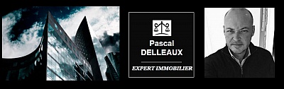 Pornic - 15/02/2016 - Nouvelle activit rfrence : Pascal Delleaux,  L`Expert Immobilier